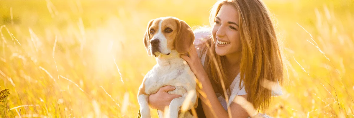 Potencial terapeutico óleos essenciais via inalatória