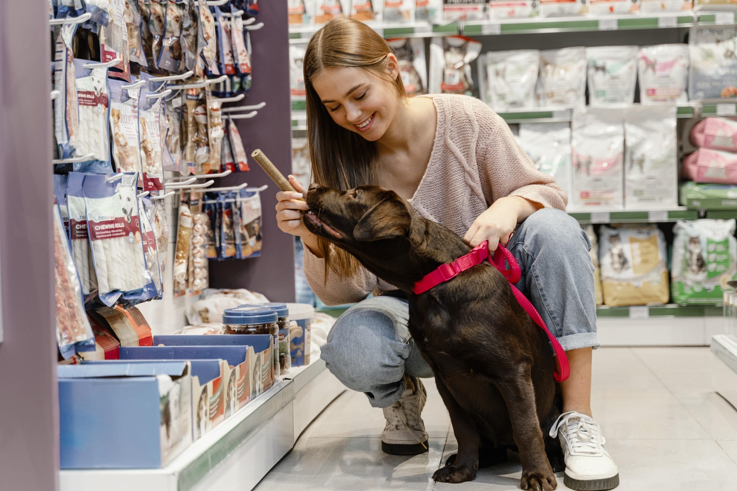 adorable-dog-with-owner-pet-shop