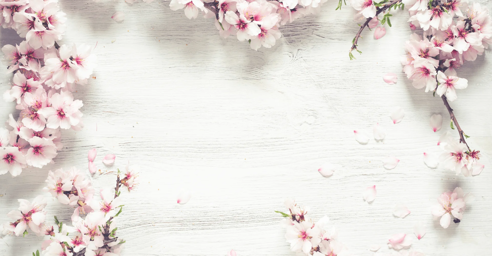 backgroud flowers Vetfleur