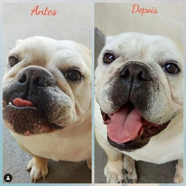 nose balm hidratante de nariz antes e depois