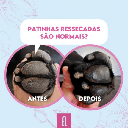 patinhas antes e depois