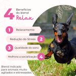 Beneficio Especifico Spray relax Boodog