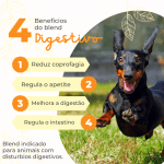 Beneficio Especifico-digestivo