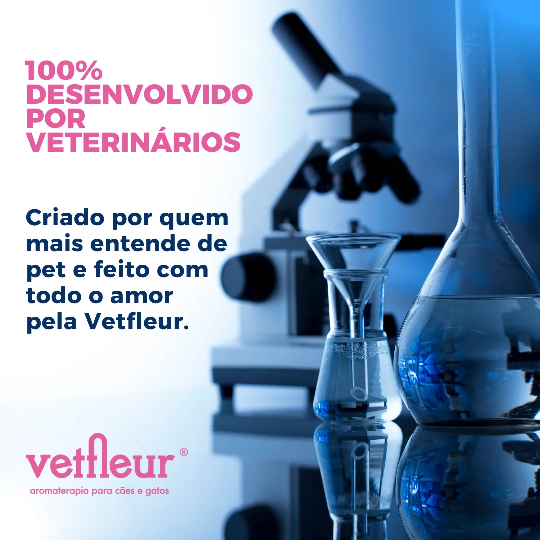 Desenvolvido por veterinários - meridiano digestivo