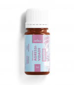 Gatos Agressividade Vetfleur