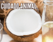 oleo de coco no cuidado animal